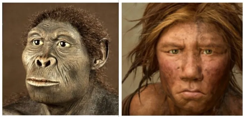 sablis sapiens